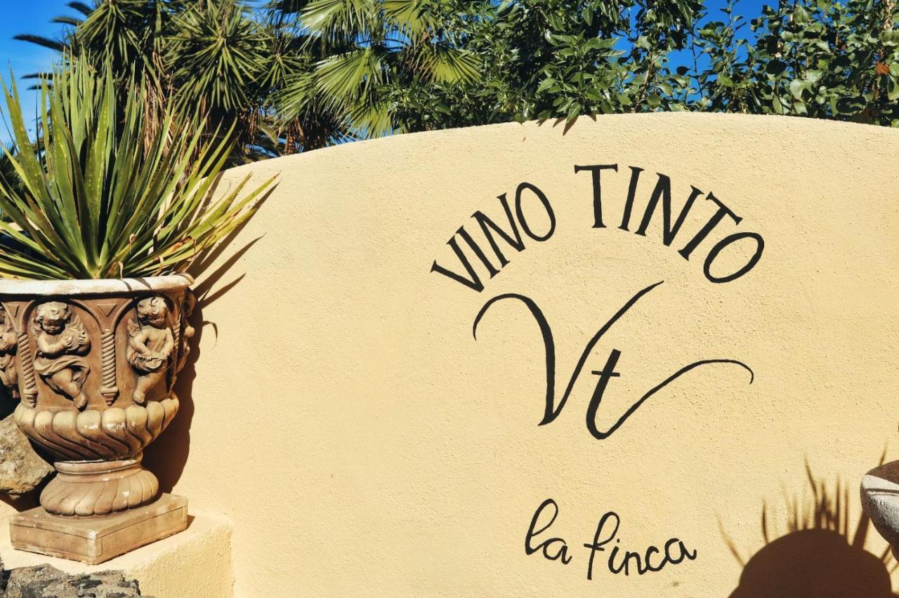 Finca Vino Tinto 5S Icod De Los Vinos Εξωτερικό φωτογραφία